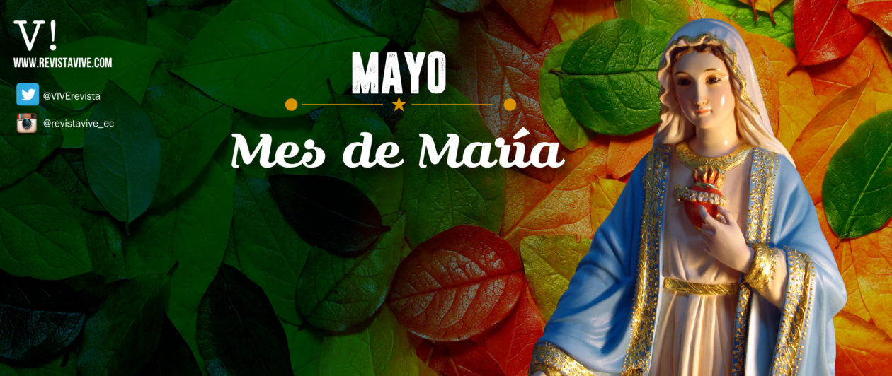 ¿por Qué Dedicamos El Mes De Mayo A María Revista Vive