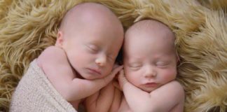 gemelos-noruega-matar-aborto