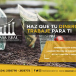 WEB casa real