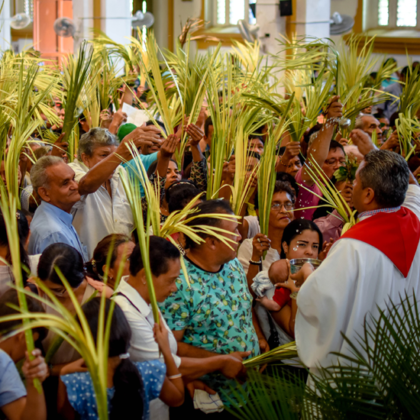 ¿Por Qué Se Celebra El Domingo De Ramos? - Revista Vive