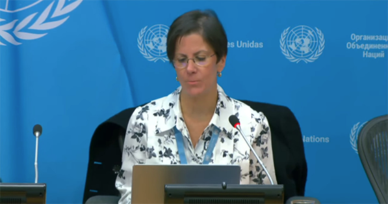 La relatora de la ONU pide erradicar los vientres de alquiler