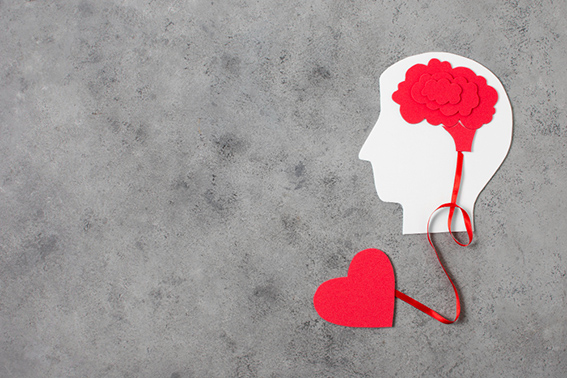 La conexión entre el cerebro y el corazón