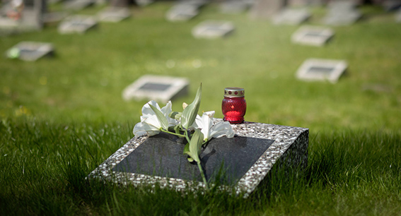 Decálogo para no olvidar a los que nunca se olvidaron