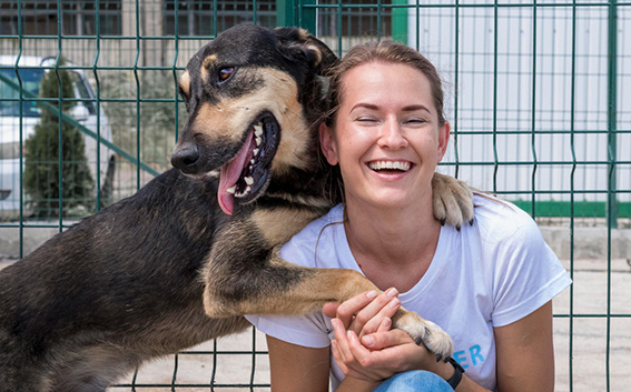 ¿Estás listo para adoptar una mascota? Lo que debes considerar en tu presupuesto