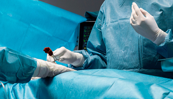 5 mitos sobre la donación de riñones en vida