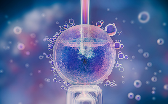 Sobre la ley de reproducción asistida