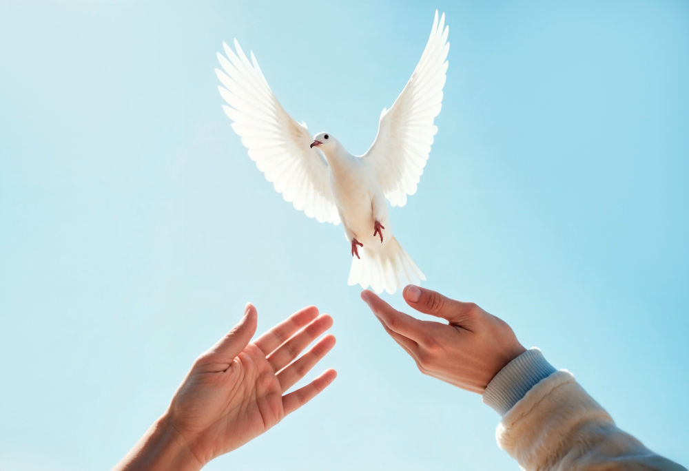 ¿La paz fruto de la fuerza o da la equidad?