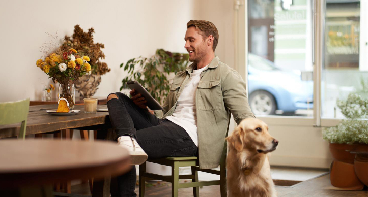 Así afectan las plantas y los perros a la calidad del aire de nuestras casas