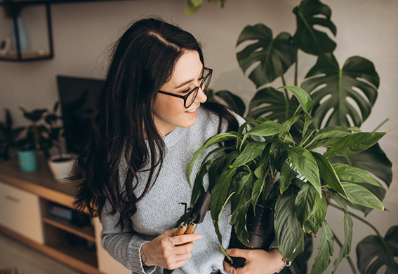 Por qué hablar a las plantas las hace crecer más sanas