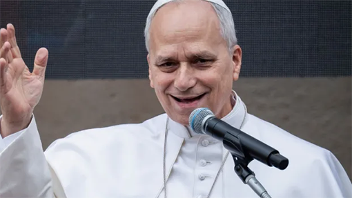 El amor de Dios no es idea humana, sino «vida divina», León XIV