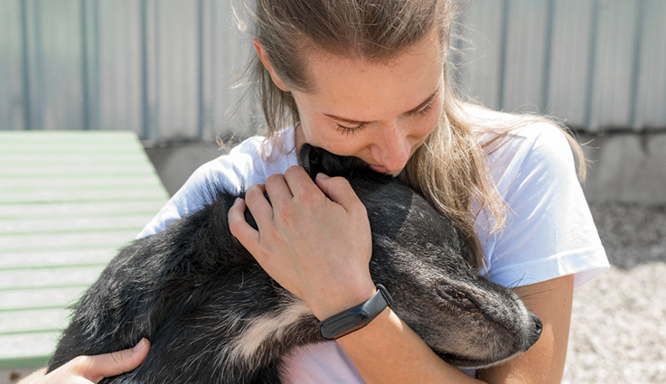 Beneficios del tratamiento asistido por animales en la rehabilitación del ACV