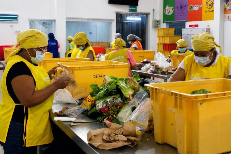 Alimentar, nutrir, no desperdiciar