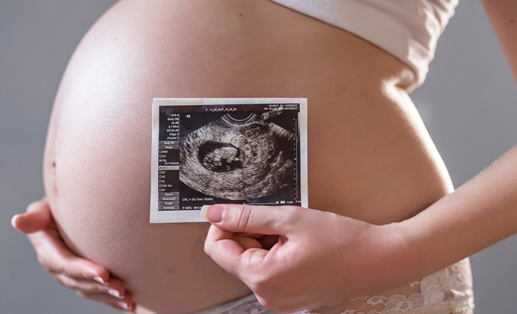 El sufrimiento fetal y la evidencia científica